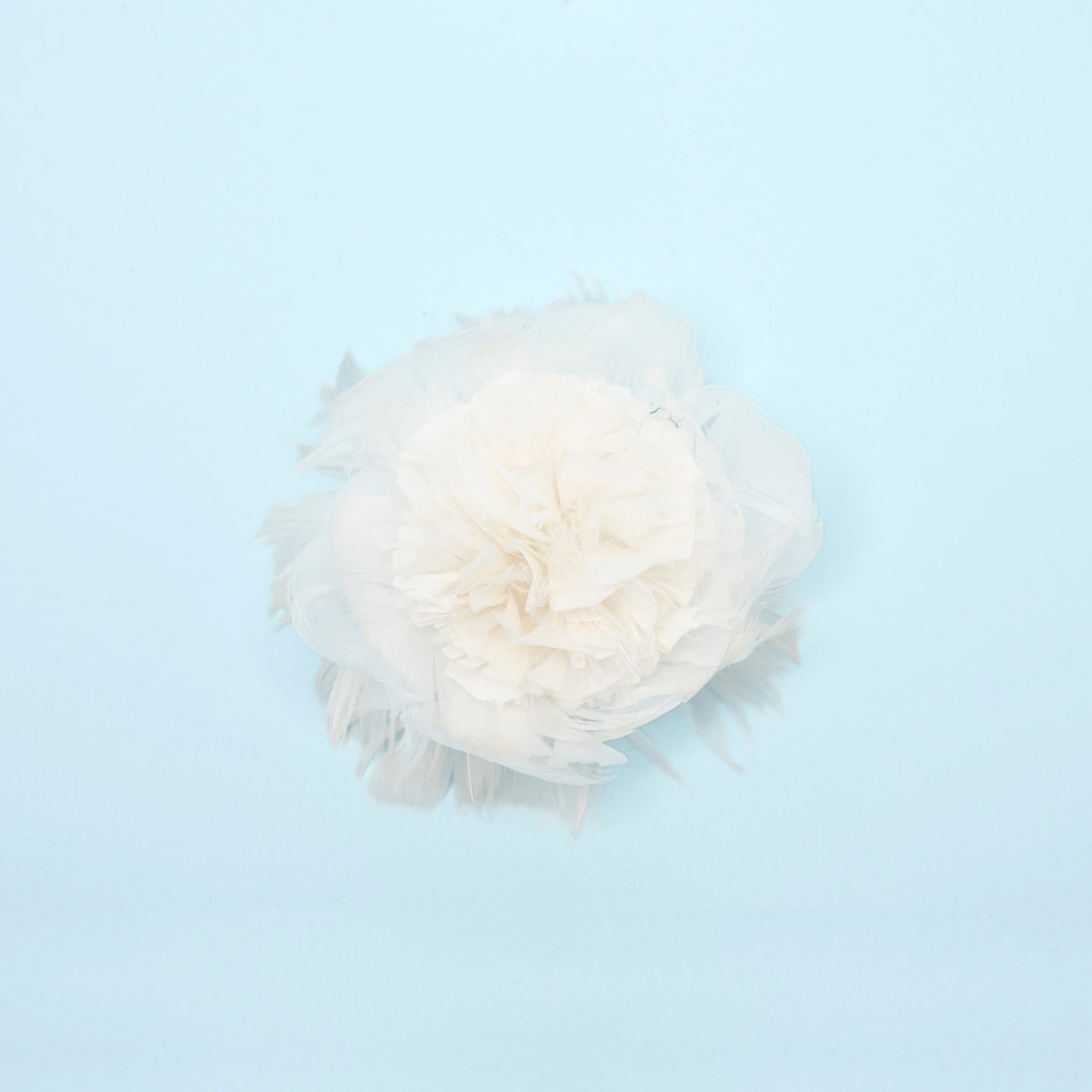 Cosima Floret